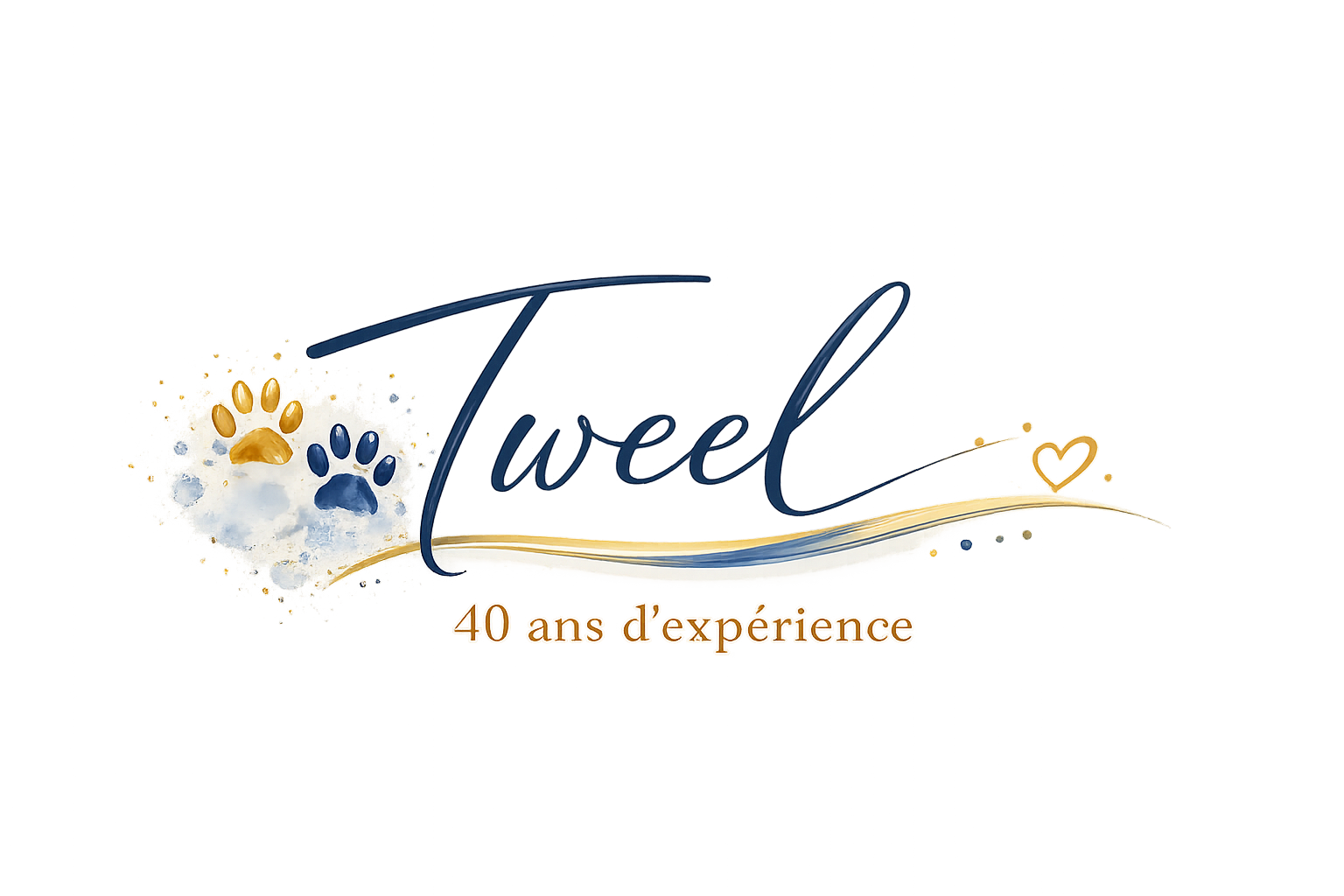 Tweel 40 ans d'expérience logo